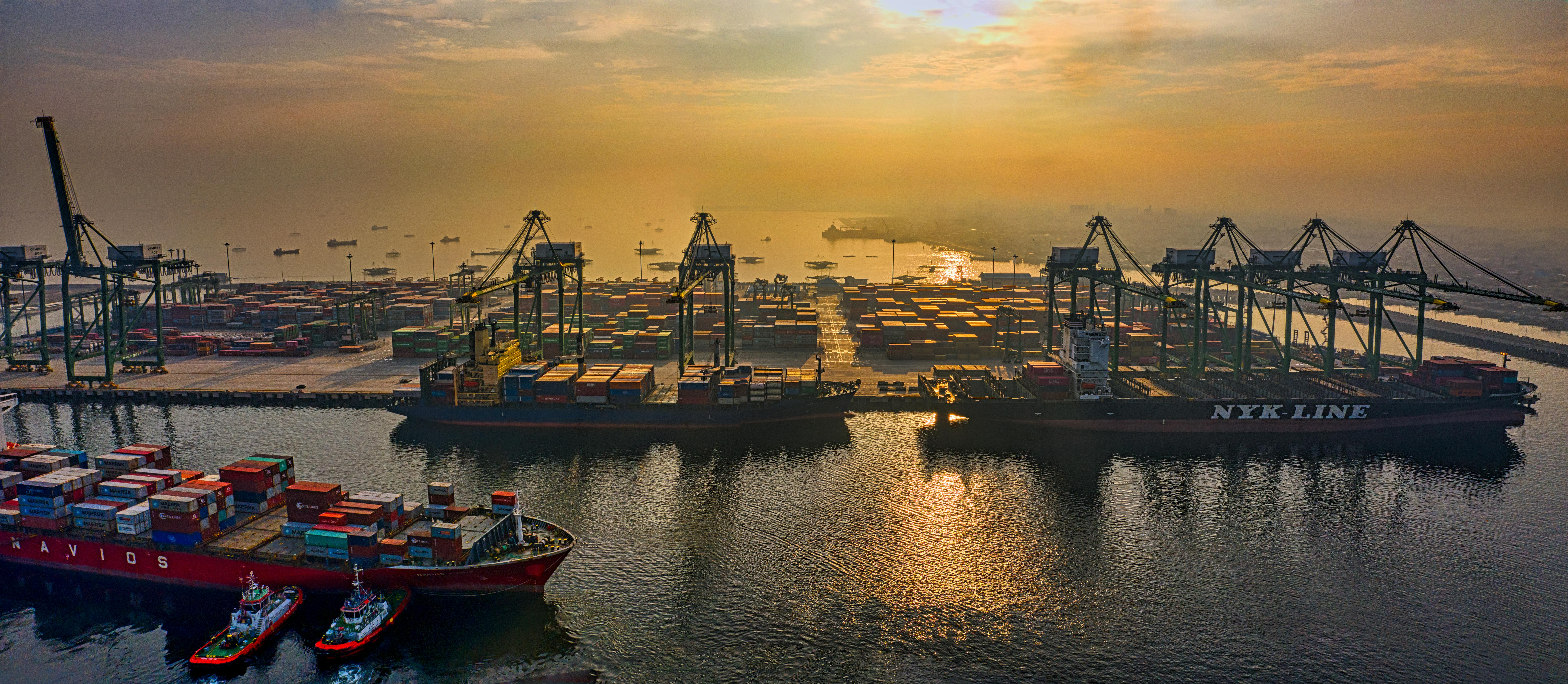 used-car-import-policy