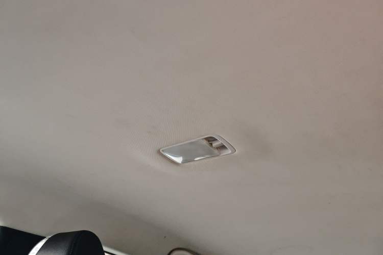 Used Venucia D60EV 2020 Standard Range Comfort Edition Headliner