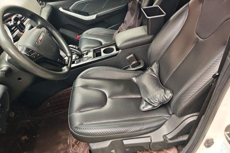 Used Venucia D60EV 2020 Standard Range Comfort Edition Left Front Seat