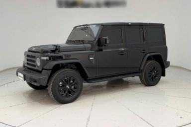 Used 212 T01 2024 2.0T Explorer