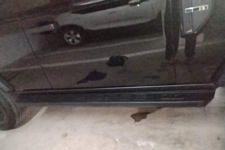 Used 212 T01 2024 2.0T Mechanic Right Side Sill