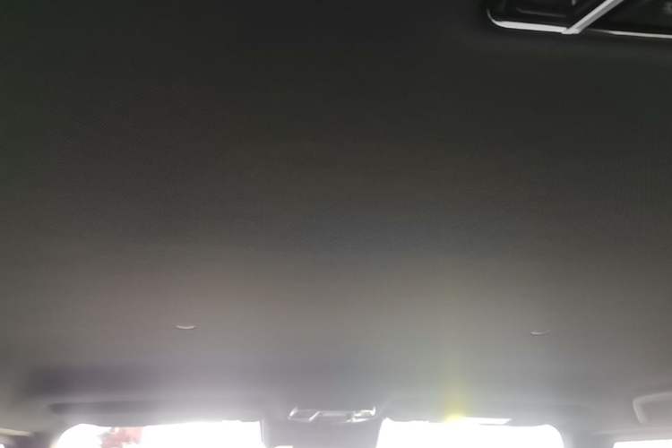 Used 212 T01 2024 2.0T Mechanic Headliner