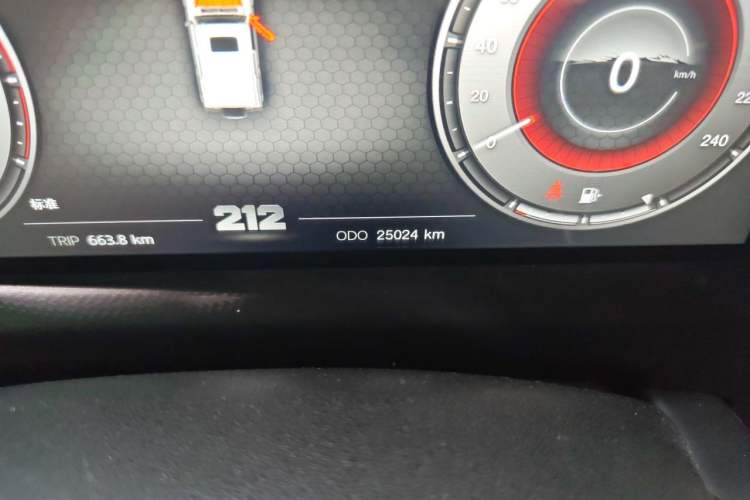 Used 212 T01 2024 2.0T Mechanic Odometer Close Up