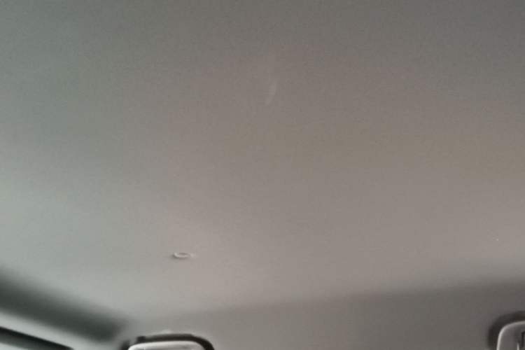 Used 212 T01 2024 2.0T Mechanic Headliner