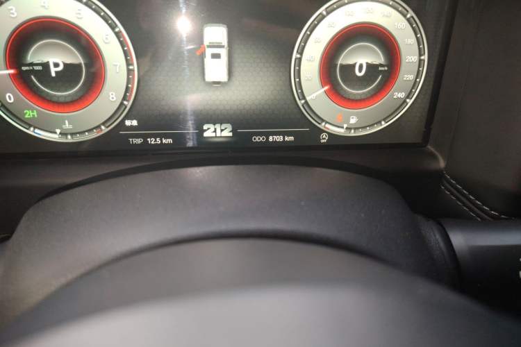 Used 212 T01 2024 2.0T Mechanic Odometer Close Up