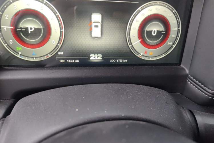 Used 212 T01 2024 2.0T Mechanic Odometer Close Up