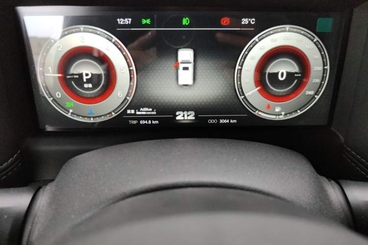 Used 212 T01 2025 Model 2.0T Diesel Odometer Close Up