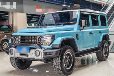 Used 212 T01 2025 2.0T Changfeng