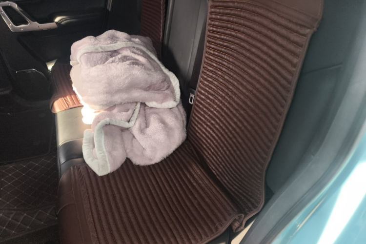 Used 212 T01 2025 2.0T Changfeng Left Rear Seat