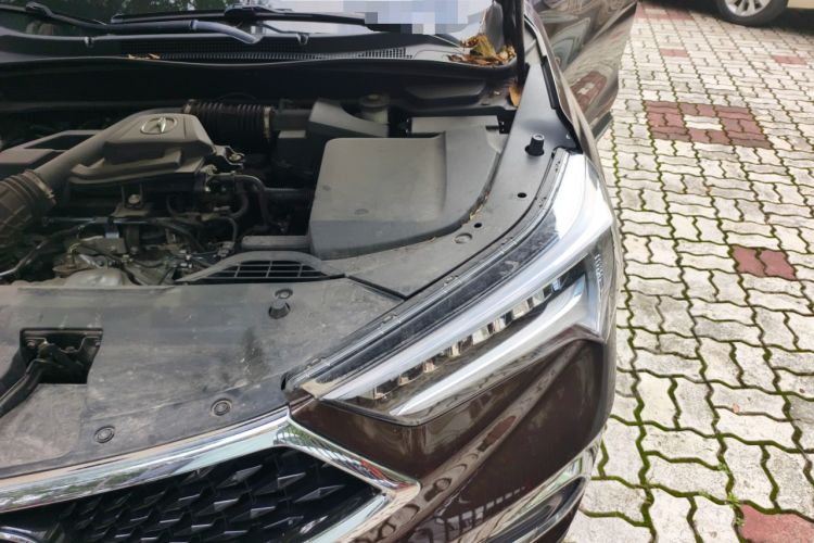 Used Acura CDX 2019 1.5T Two-Wheel Drive Deluxe Edition Engine Bay Left