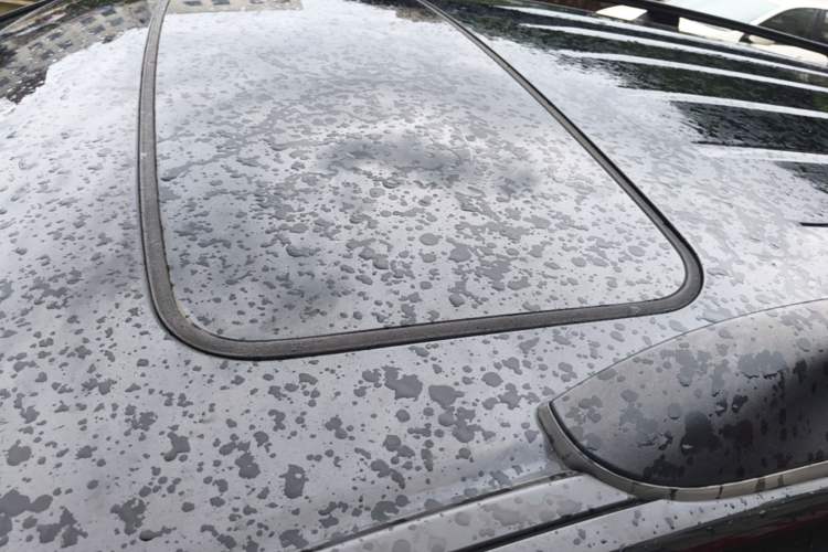 Used Acura MDX 2010 3.7 Standard Edition Roof