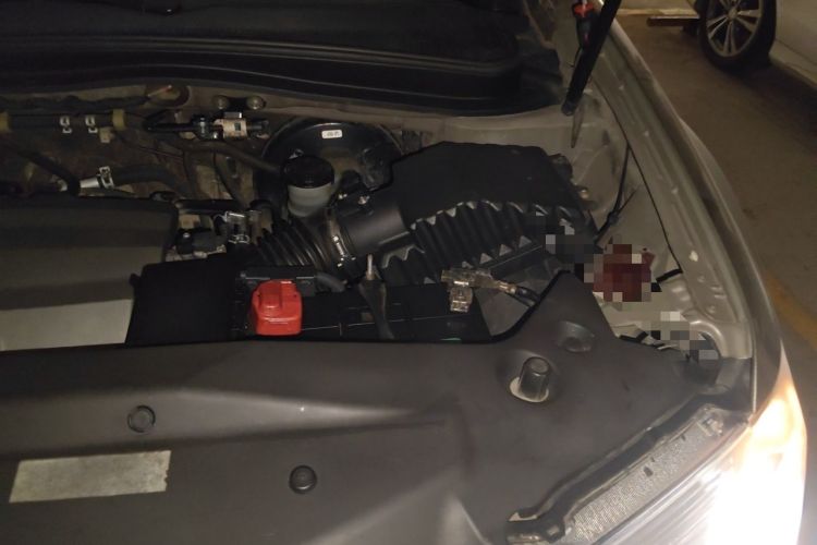 Used Acura MDX 2010 3.7 Standard Edition Engine Bay Left