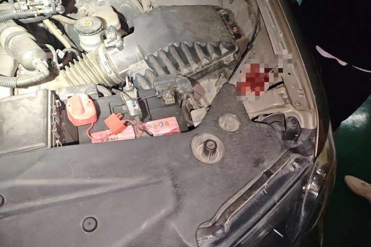 Used Acura MDX 2011 3.7 Standard Deluxe Sport Edition Engine Bay Left