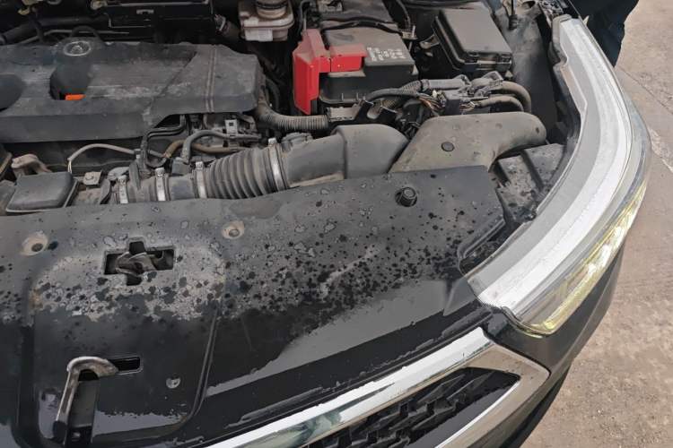 Used Acura RDX 2019 2.0T Luxury Edition China V Standard Engine Bay Left