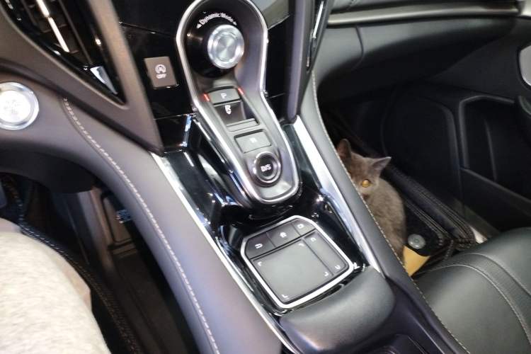 Used Acura RDX 2019 2.0T Luxury Edition China V Standard Gear Lever