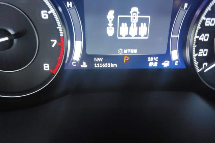 Used Acura RDX 2019 2.0T Diamond Edition SH-AWD China VI Standard Odometer Close Up