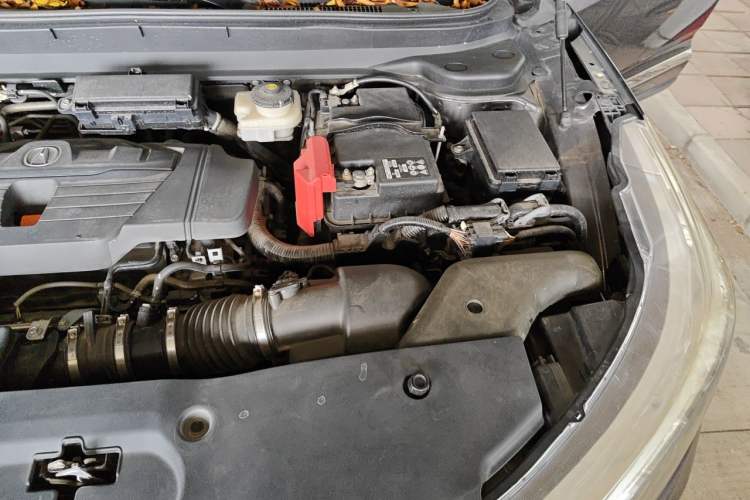 Used Acura RDX 2019 2.0T Enjoyment Version China V Standard Engine Bay Left
