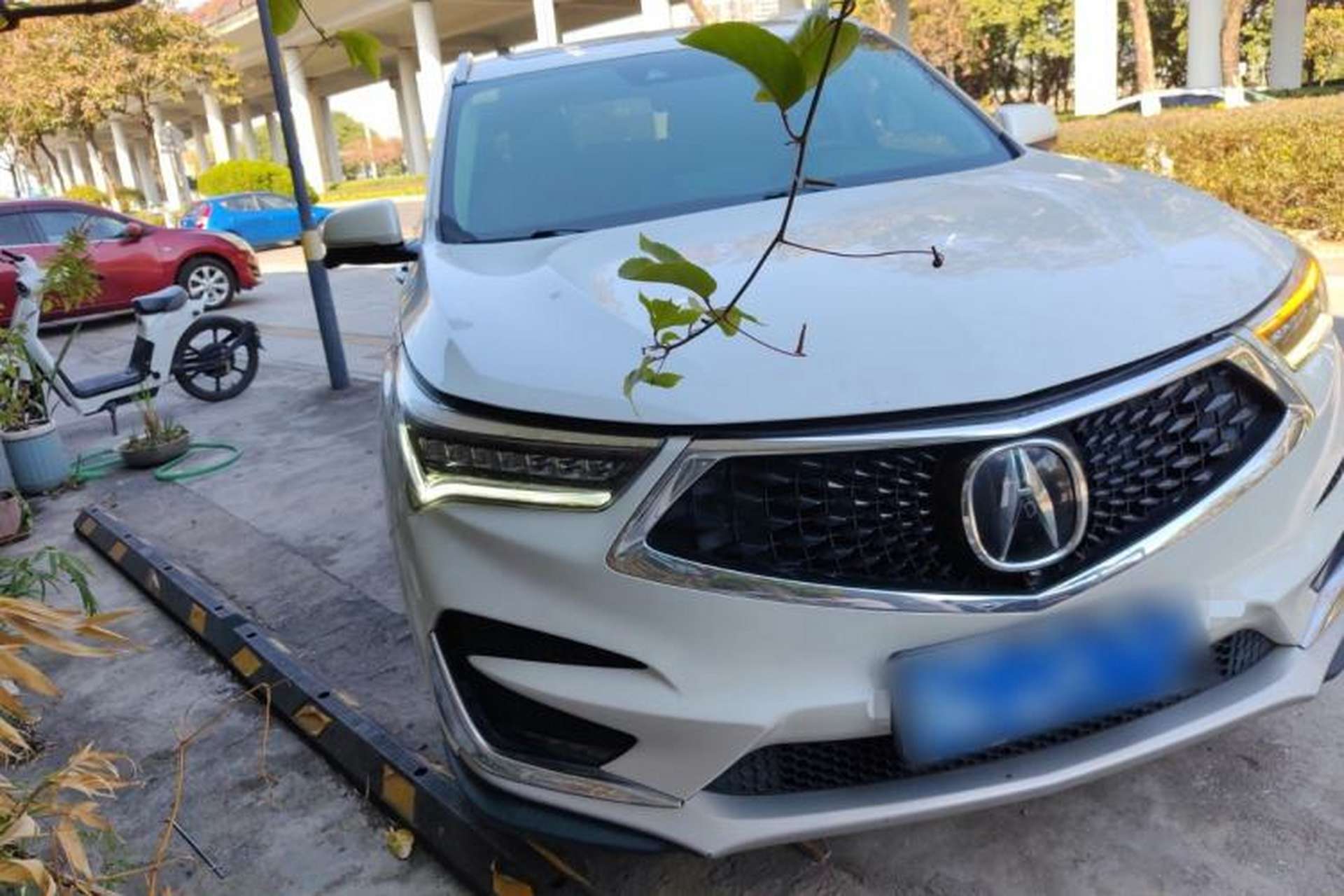 Used Acura RDX 2019 2.0T Prestige Edition SH-AWD China V Standard Front Right 45 Deg