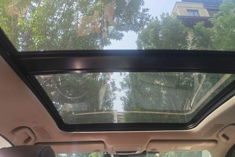 Used Acura RDX 2020 2.0T Diamond Edition SH-AWD Headliner