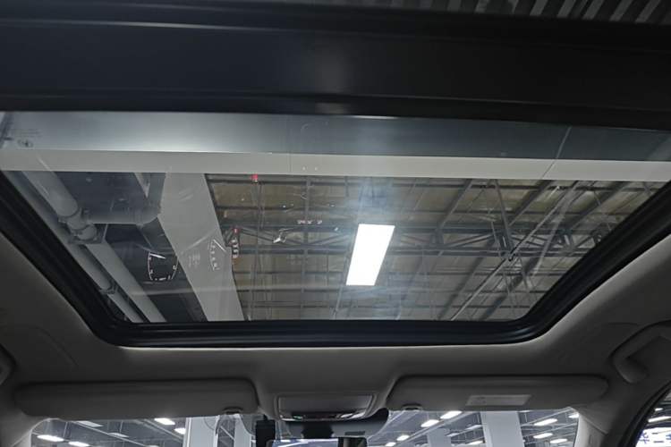 Used Acura RDX 2020 2.0T Diamond Edition SH-AWD Headliner
