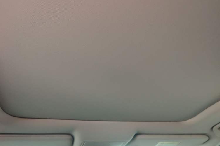 Used Acura RDX 2020 2.0T Smart Edition SH-AWD Headliner