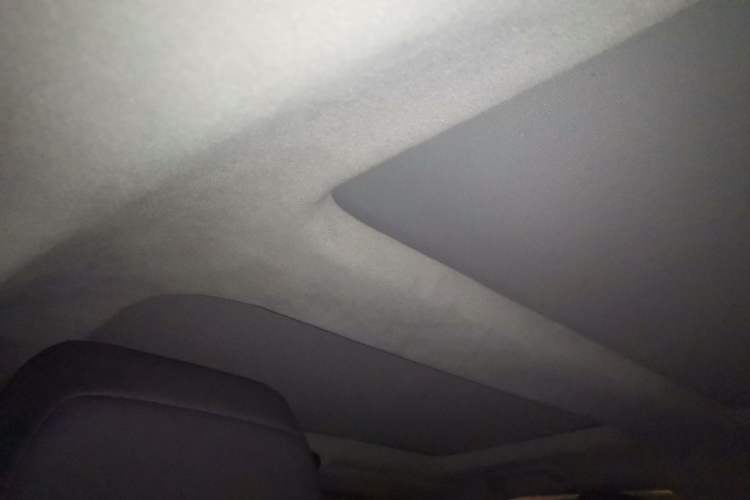 Used Acura ZDX 2012 3.7 Standard Edition Headliner