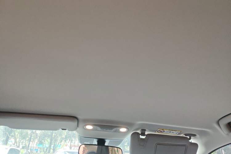 Used AION UT Super 2026 Model: Standard Edition Headliner