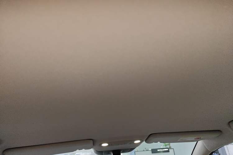 Used AION UT Super 2026 Model: Standard Edition Headliner