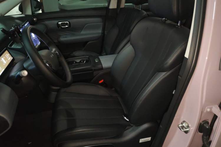 Used AION UT Super 2026 Model: Standard Edition Left Front Seat