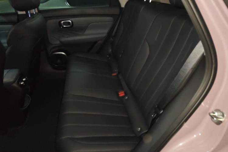 Used AION UT Super 2026 Model: Standard Edition Left Rear Seat