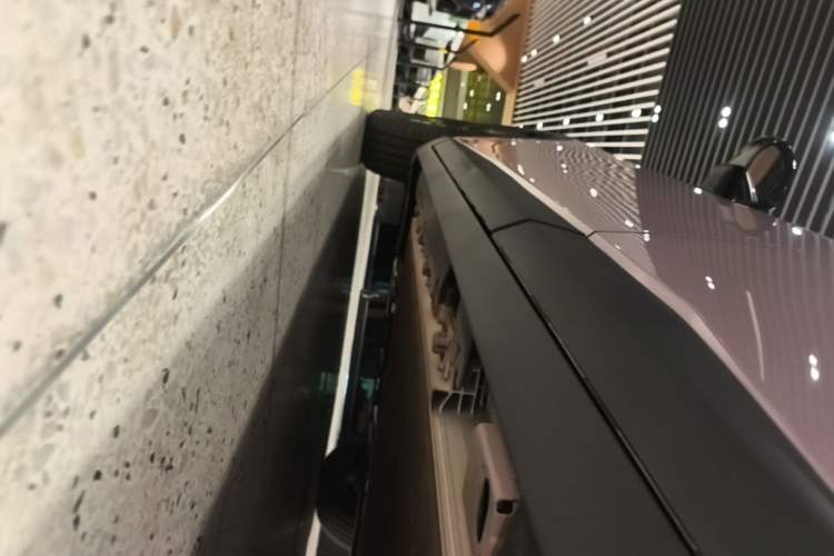 Used AION UT Super 2026 Model: Standard Edition Left Side Sill