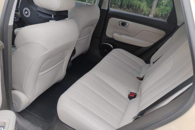 Used AION UT Super 2026 Model: Standard Edition Left Rear Seat