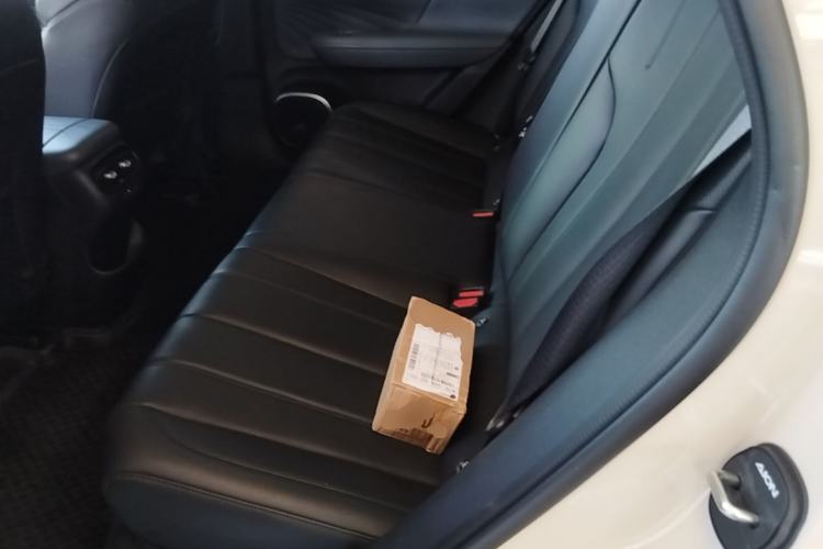 Used AION UT Super 2026 Model: Standard Edition Left Rear Seat