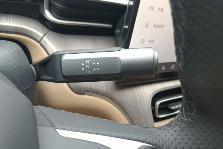 Used AION i60 2026 Model 210 Standard Edition Gear Lever