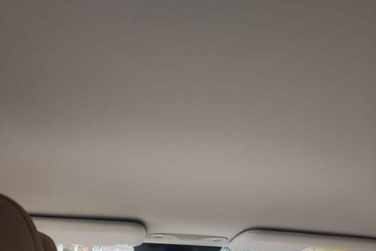 Used AION i60 2026 Model 530 Standard Edition Headliner