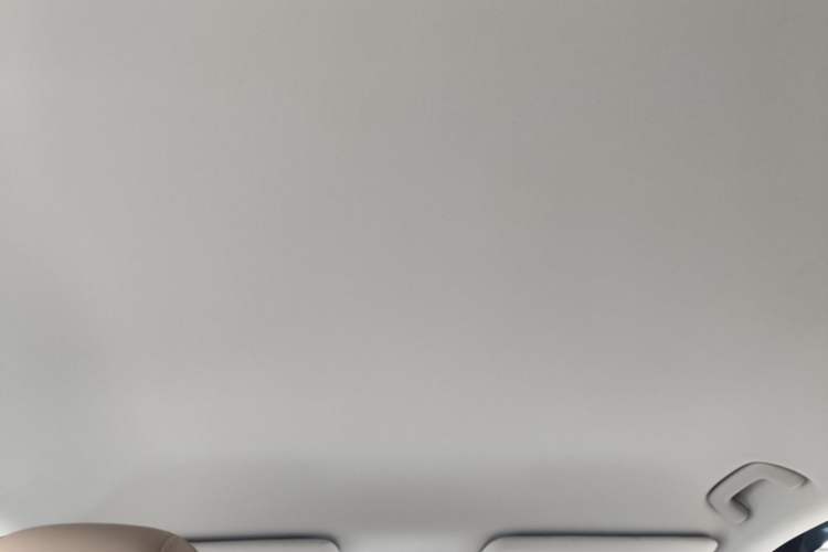 Used AION i60 2026 Model 530 Standard Edition Headliner