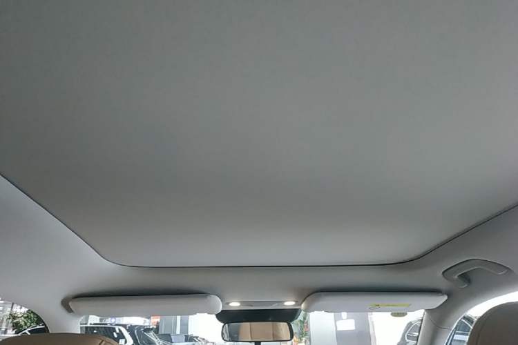 Used AION i60 2026 Model 210 Standard Edition Headliner