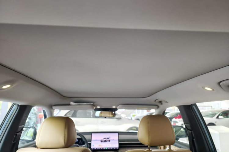 Used AION i60 2026 Model 530 Standard Edition Headliner