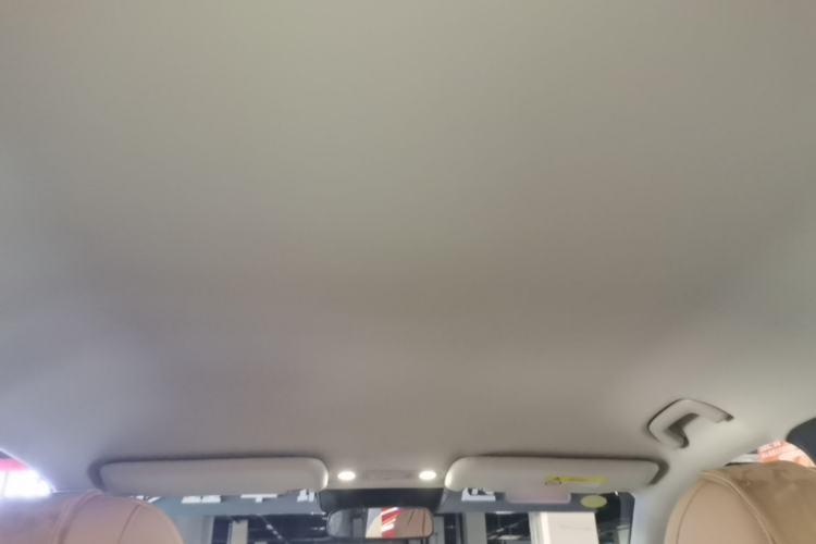 Used AION i60 2026 Model 210 Standard Edition Headliner