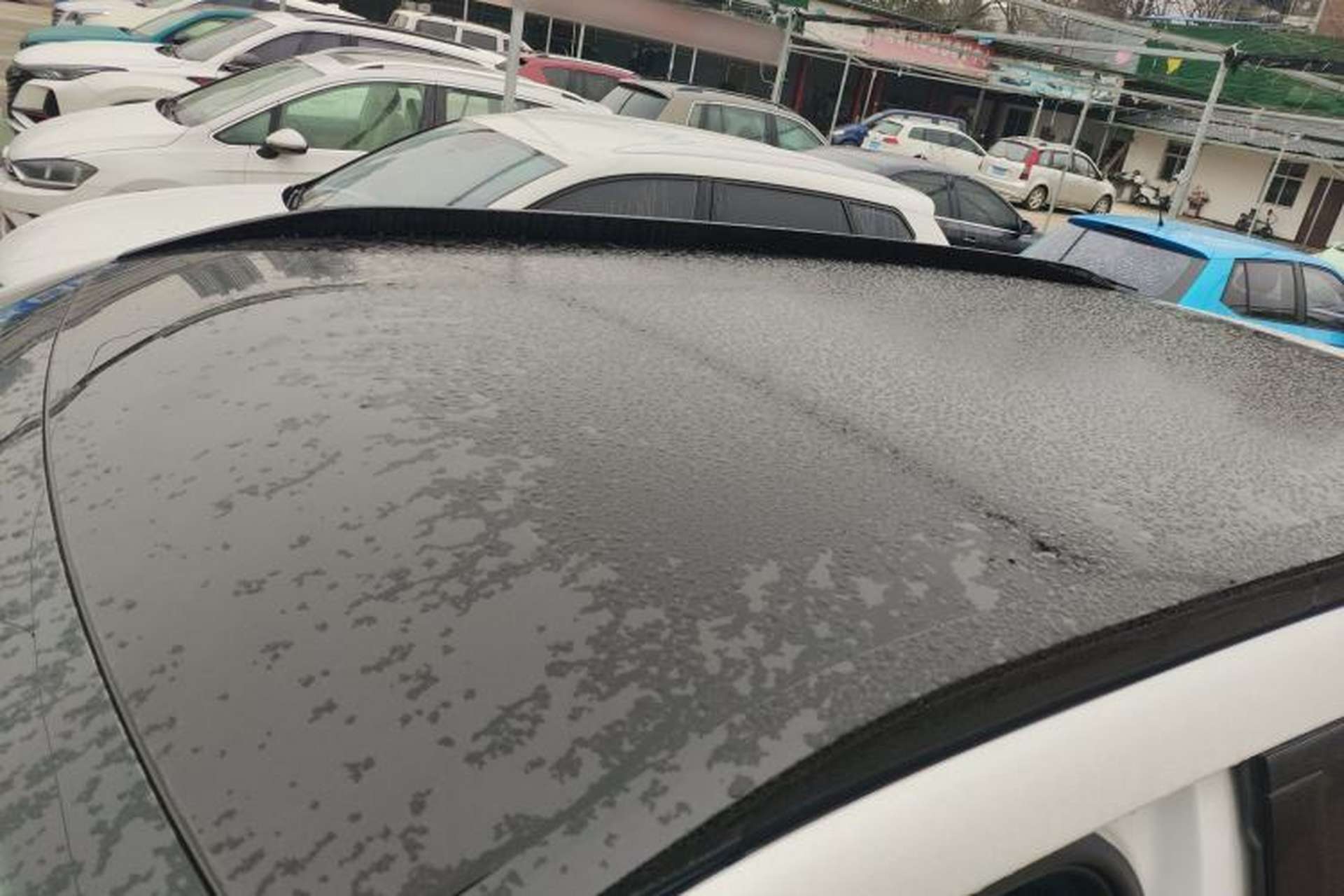 Used AION i60 2026 Model 210 Standard Edition Roof