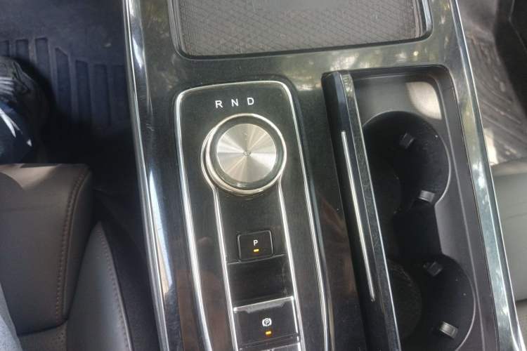 Used AION LX 2019 80D Gear Lever