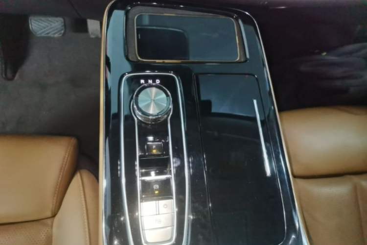Used AION LX 2019 80D Max Gear Lever