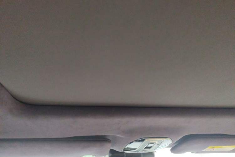 Used AION LX 2019 80D Headliner