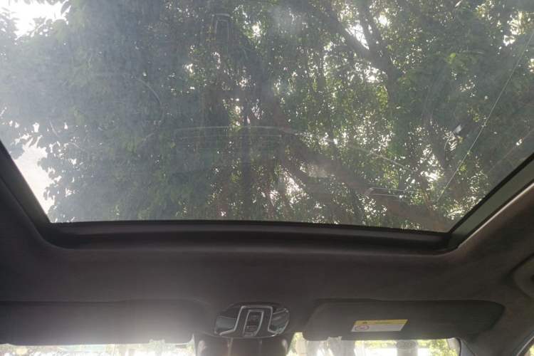 Used AION LX 2019 80D Headliner