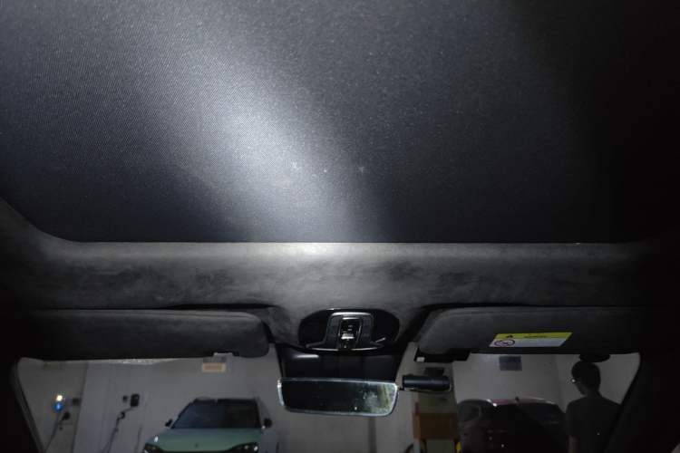 Used AION LX 2019 80 Headliner