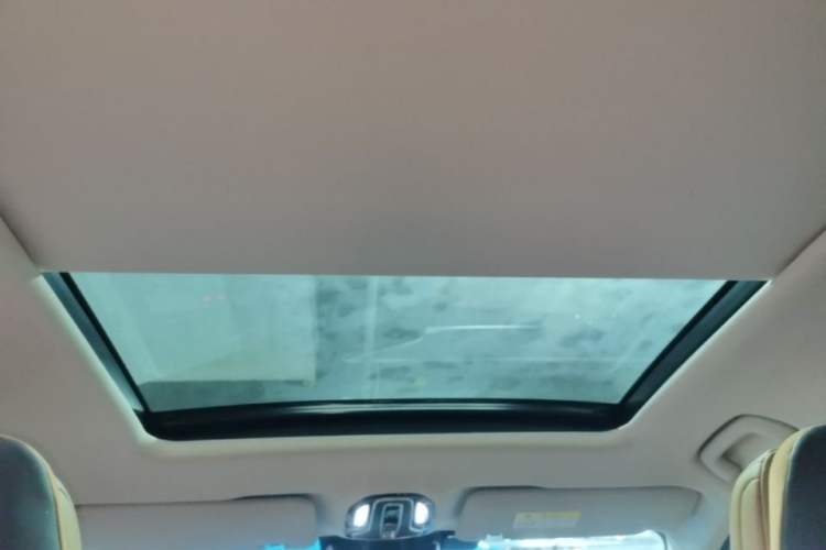 Used AION LX 2019 80D Max Headliner