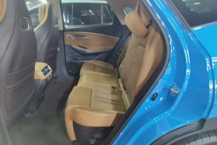 Used AION LX 2019 80D Max Left Rear Seat