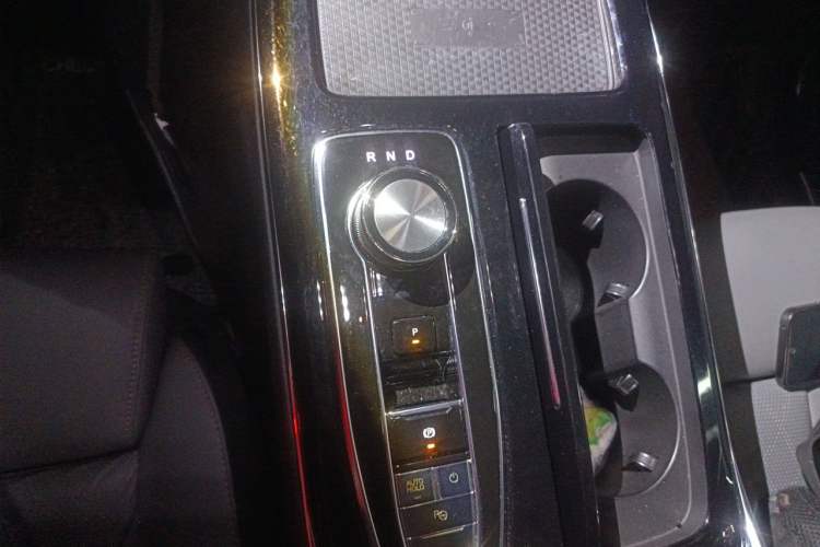 Used AION LX 2019 80D Gear Lever