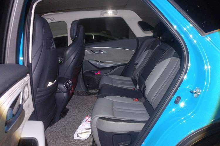 Used AION LX 2019 80D Left Rear Seat