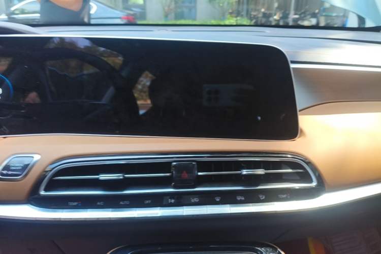 Used AION LX 2019 80 Audio And AC Panel